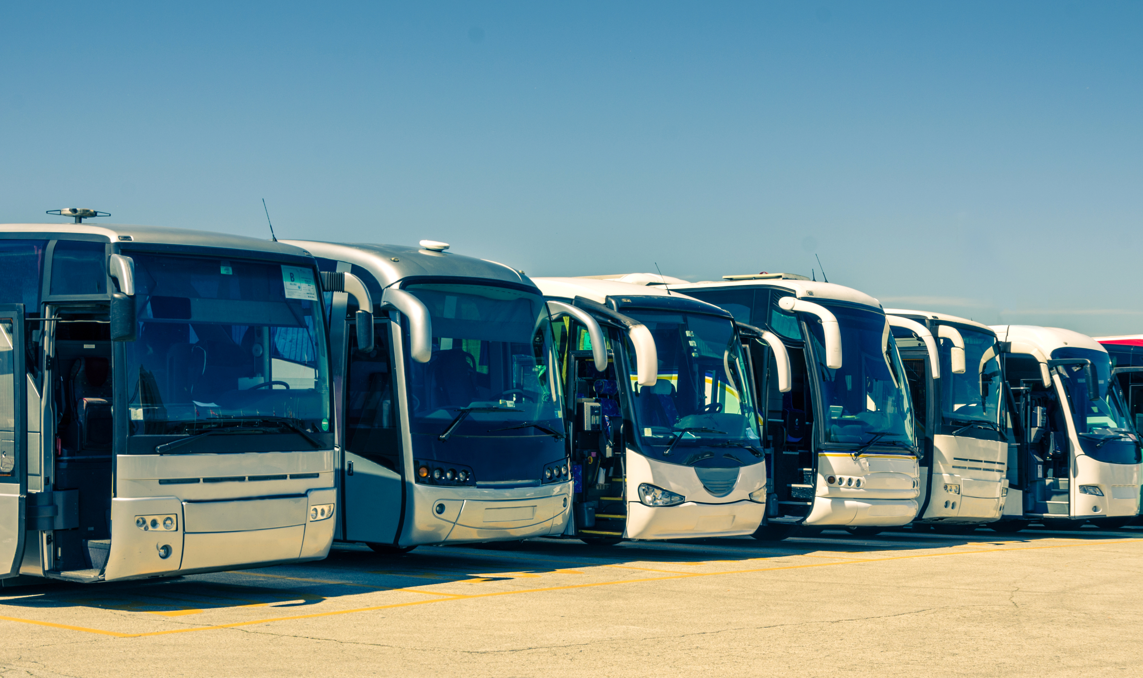 Автобусные перевозки пассажир